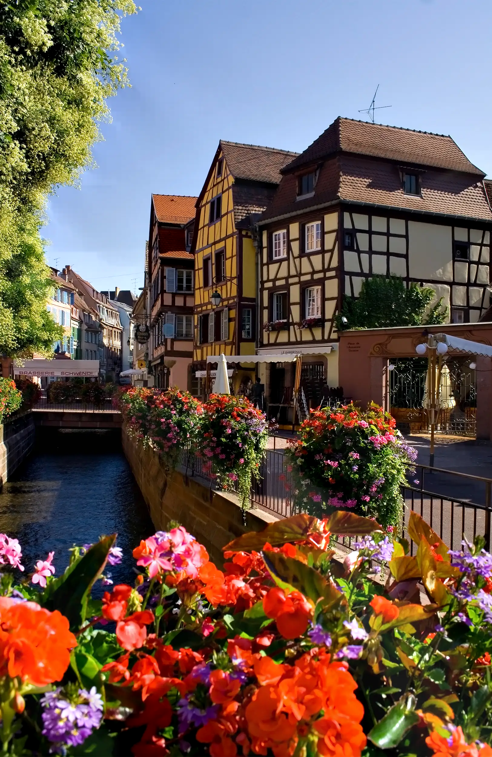 CHATEAU-LANDSBERG-ALSACE-VILLE-DE-BARR
